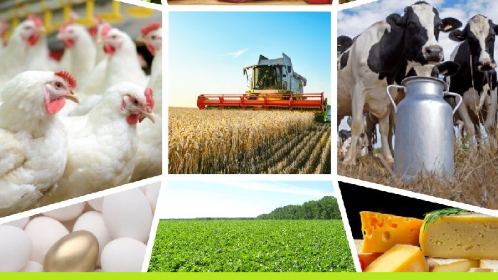 В Кабардино-Балкарии общий объем производства сельхозпродукции увеличился на 3,8%
