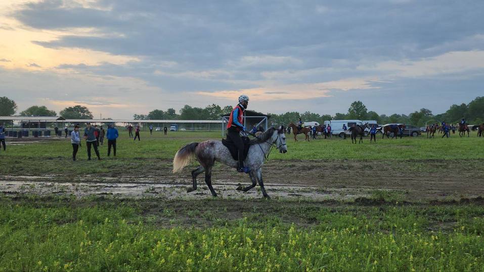 В «Красном Гедуко» пройдет большой конный пробег с участием более ста всадников
